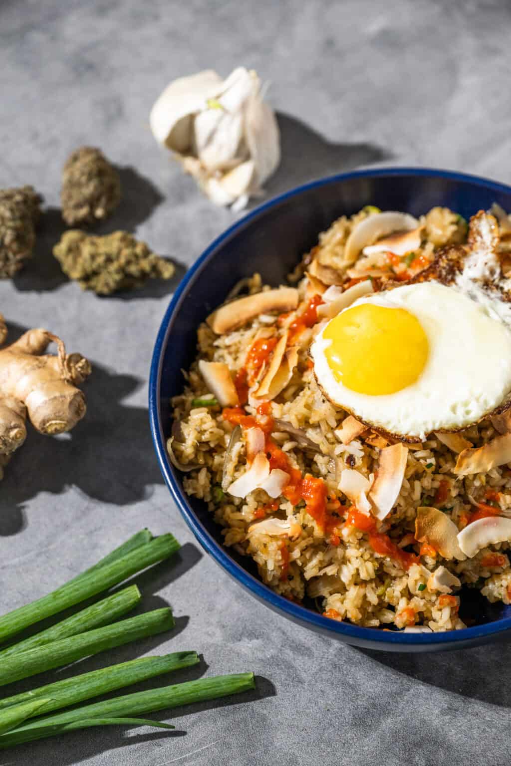 High on Flavor: Ginger & Mary Jane Fried Rice Recipe - Jane and Mary
