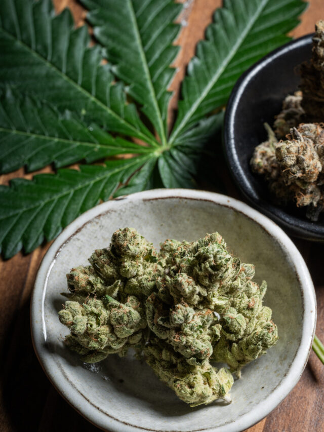 marijuana leaves and bud