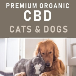 EMPE Organic CBD Products For People + Pets
