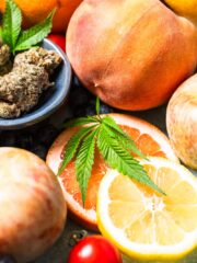 An image of sliced citrus and whole stone fruit with cannabis.