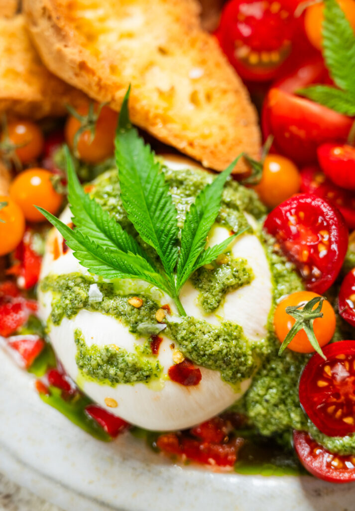 Burrata with pesto for About Jane & Mary page